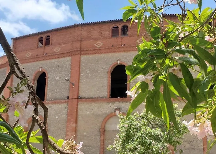 Les Arenes Wi-fi Climatisation Jardin Netflix 10 Mn Coeur De *